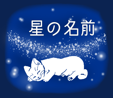 夜空と猫のイラスト
